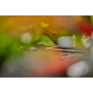 BAUHAUS Gardena Micro-Drip L-Stück Durchmesser Anschluss: 4,6 Mm, 10 Stk., Kunststoff 16