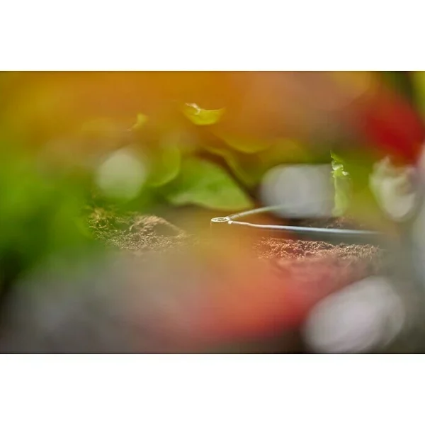 BAUHAUS Gardena Micro-Drip L-Stück Durchmesser Anschluss: 4,6 Mm, 10 Stk., Kunststoff 6